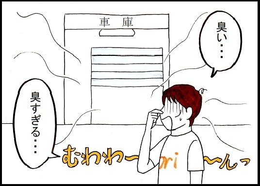 84.jpg